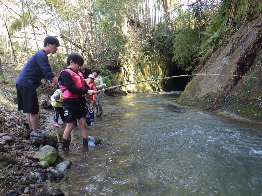 ガイアライフスクール